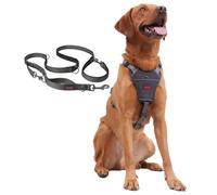 Halti Anatomy Harness & Multifunctional Lead Set | Harness L, Lead L, Grey | Stop Pulling on Walks with the Adjustable Harness | Shock-Absorbing Multi-Lead for Large Dogs