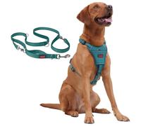 Halti Anatomy Harness & Multifunctional Lead Set | Harness L, Lead L, Teal | Padded, Adjustable & Reflective No Pull Dog Harness | Shock-Absorbing Multi-Lead for Large Dogs