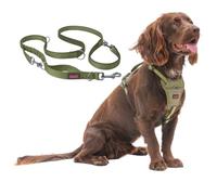 Halti Anatomy Harness & Multifunctional Lead Set | Harness M, Lead L, Green | Padded, Adjustable & Reflective No Pull Dog Harness | Shock-Absorbing Multi-Lead for Medium Dogs