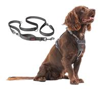 Halti Anatomy Harness & Multifunctional Lead Set | Harness M, Lead L, Grey | Padded, Adjustable & Reflective No Pull Dog Harness | Shock-Absorbing Multi-Lead for Medium Dogs