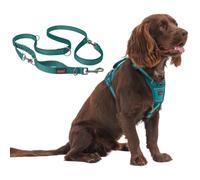 Halti Anatomy Harness & Multifunctional Lead Set | Harness M, Lead L, Teal | Padded, Adjustable & Reflective No Pull Dog Harness | Shock-Absorbing Multi-Lead for Medium Dogs
