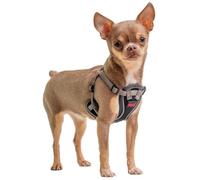 Anatomy Puppy Harness Grey - XX Small