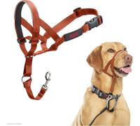 Halti Headcollar - Stop Your Dog Pulling on the Lead. Adjustable, Reflective and Lightweight, with Padded Nose Band. Dog Training Anti-Pull Collar for Large Dogs (Size 4, Burnt Orange)