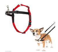 HALTI Front Control Harness, Size Small, Professional Dog Harness to Stop Pulling on the Lead, Easy to Use, Anti-Pull Training Aid, Front Leading No