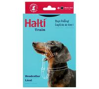 Halti Head Collar Stop Pulling Dog Collar No Pull Solution 6 NEW COLOURS