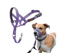 Halti Headcollar for Dogs (Size 1, Purple)