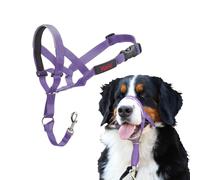Halti Headcollar for Dogs (Size 4, Purple)