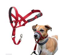 HALTI Headcollar Size 1 Red, UK Bestselling Dog Head Harness to Stop Pulling on the Lead, Easy to Use, Padded Nose Band, Adjustable & Reflective,