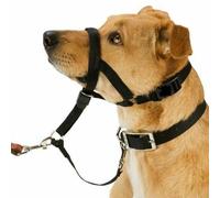 Halti Headcollar - Size 2, Black