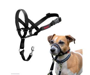 Halti Headcollar - Stop Your Dog Pulling on the Lead. Adjustable, Reflective ...