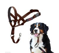 Halti Headcollar - Stop Your Dog Pulling on the Lead. Adjustable, Reflective and