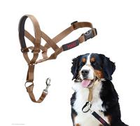 HALTI Headcollar - Stop Your Dog Pulling on the Lead. Adjustable, Reflective and Lightweight, with Padded Nose Band. Dog Training Anti-Pull Collar for Large Dogs (Size 4, Desert Sand)