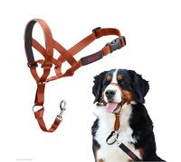 HALTI Headcollar - Stop Your Dog Pulling on the Lead. Adjustable, Reflective and Lightweight, with Padded Nose Band. Dog Training Anti-Pull Collar for Large Dogs (Size 4, Burnt Orange)