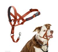 HALTI Headcollar - Stop Your Dog Pulling on the Lead. Adjustable, Reflective and Lightweight, with Padded Nose Band. Dog Training Anti-Pull Collar for
