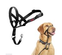 Halti Headcollar - Stop Your Dog Pulling on the Lead. Adjustable, Reflective and Lightweight, with Padded Nose Band. Dog Training Anti-Pull