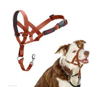 HALTI Headcollar - To Stop Your Dog Pulling on the Lead. Adjustable, Reflective and Lightweight, with Padded Nose Band. Dog Training Anti-Pull Collar for Medium Dogs (Size 2, Burnt Orange)