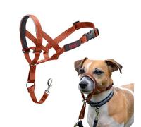 Halti Headcollar - Stop Your Dog Pulling on the Lead. Adjustable, Reflective and Lightweight, with Padded Nose Band. Dog Training Anti-Pull Collar for Small Dogs (Size 1, Burnt Orange)