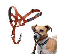HALTI Headcollar - Stop Your Dog Pulling on the Lead. Adjustable, Reflective and Lightweight, with Padded Nose Band. Dog Training Anti-Pull Collar for