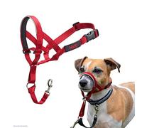 HALTI Headcollar Size 1 Red, UK Bestselling Dog Head Harness to Stop Pulling on the Lead, Easy to Use, Padded Nose Band, Adjustable & Reflective, Professional Anti-Pull Training Aid for Small Dogs