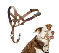 HALTI Headcollar - To Stop Your Dog Pulling on the Lead. Adjustable, Reflective and Lightweight, with Padded Nose Band. Dog Training Anti-Pull Collar for Medium Dogs (Size 2, Desert Sand)