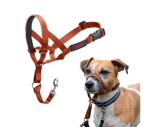 HALTI Headcollar - Stop Your Dog Pulling on the Lead. Adjustable, Reflective and Lightweight, with Padded Nose Band. Dog Training Anti-Pull Collar for