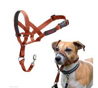 HALTI Headcollar - To Stop Your Dog Pulling on the Lead. Adjustable, Reflective and Lightweight, with Padded Nose Band. Dog Training Anti-Pull Collar for Small Dogs (Size 1, Burnt Orange)
