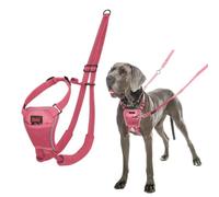 Halti No Pull Dog Harness | Size L, Pink