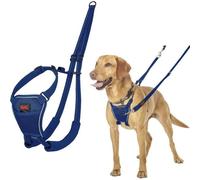 Halti No Pull Dog Harness | Size M, Cobalt Blue