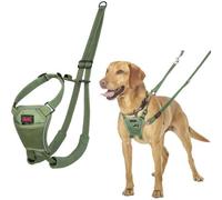 Halti No Pull Dog Harness | Size M, Forest Green
