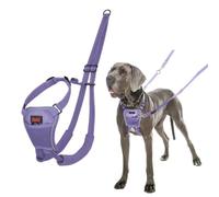 Halti No Pull Harness for Dogs (Size L, Purple)