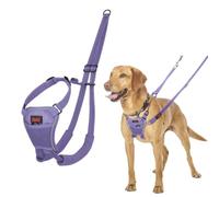 Halti No Pull Harness for Dogs (Size M, Purple)