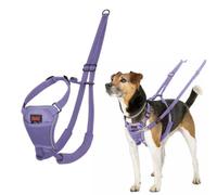 Halti No Pull Harness for Dogs (Size S, Purple)