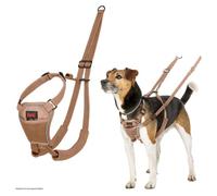 Halti No Pull Harness For Dogs - Training Harness Desert Sand