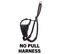 CoA Halti No Pull Harness Medium