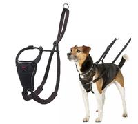 Halti No Pull Dog Harness | Size M, Forest Green