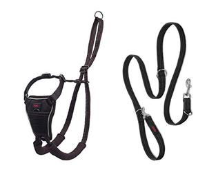 Halti No Pull Harness Size Large & Halti Training Leash Size Large, Black Combination Pack - Stop Your Dog Pulling on the Leash. Adjustable, Lightweight and Easy to Use. Suitable for Large Dogs