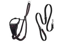Halti No Pull Harness (Size Medium) & Training Lead (Size Large, Black)