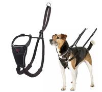 HALTI No Pull Harness Size Small, Professional Dog Harness to Stop Pulling on the Lead, Easy to Use, Anti-Pull Training Aid, Adjustable, Reflective and Breathable, For Small Dogs, Black