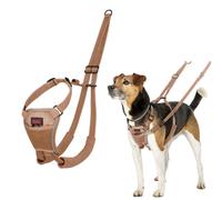 Halti No Pull Harness - Stop Your Dog Pulling on the Lead. Adjustable, Lightweight and Easy to Use. Reflective Dog Training Harness for Toy