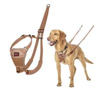 HALTI No Pull Harness - To Stop Your Dog Pulling on the Leash. Adjustable, Lightweight and Easy to Use. Reflective Dog Training Harness for Medium Dogs (Size M, Desert Sand)