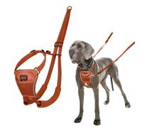 HALTI No Pull Anti-Pull Harness - Prevents Your Dog from Pulling on the Lead, Padded Chest and Leg Strap, Reflective Strap Material, Easy Adjustment and Use (Size L, Dark Orange)