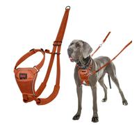 HALTI No Pull Harness - To Stop Your Dog Pulling on the Leash. Adjustable, Lightweight and Easy to Use. Reflective Dog Training Harness for Large Dogs