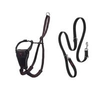 HALTI No Pull Harness & Training Leash Large Combination Pack - Stop Dog Pulling, Black, Adjustable, Lightweight, Easy to Use for Large Dogs
