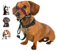 Halti OptiFit Black Headcollar for Dogs - Medium