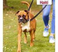 Halti OptiFit Headcollar, Stops Dogs Pulling, Black, Sizes Small