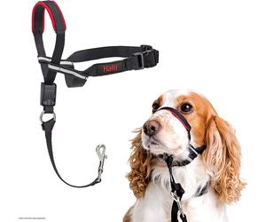 Halti Optifit Adjustable Headcollar - Anti-Pull Dog Training Aid (Medium)