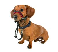 Halti OPTIFIT Dog Headcollar Stops Pulling Lightweight Adjustable Choose Size