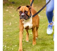 Halti Optifit Headcollar - Company Of Animals - Black - Size: Small