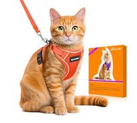 Halypet Cat Harness and Leash Set [H600 Pro] Escape Proof Cat Harness for Walking, Adjustable Breathable Comfortable Travel Cat Leash, Reflective Strips Kitten Harness (Orange, S (7-12lb))
