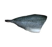 Hamachi Fillet, Sashimi Grade, Fresh, From A 2-3kg Fish